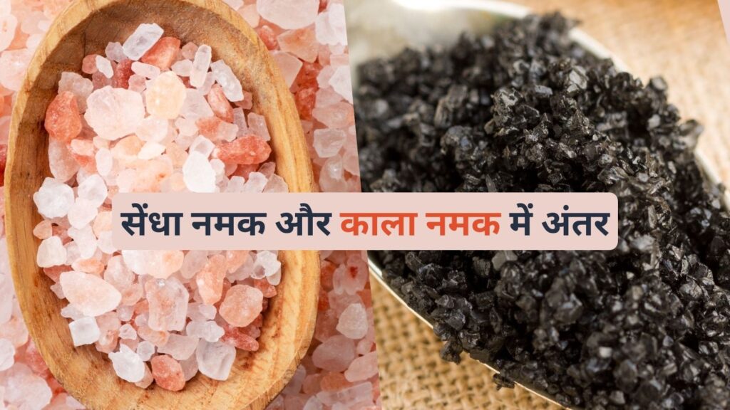 सेंधा नमक और काला नमक में अंतर | kala Namak Vs Sendha Namak in Hindi