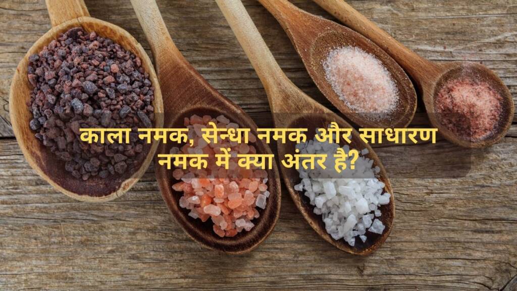 https://sendhanamak.in/difference-black-salt-rock-salt-and-common-salt/