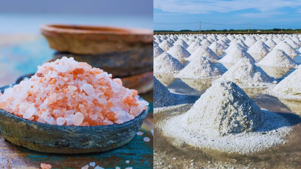 Main Difference Between Rock Salt and Sea Salt Main Difference Between Rock Salt and Sea Salt 3 1 https://sendhanamak.in/difference-between-rock-salt-and-sea-salt/