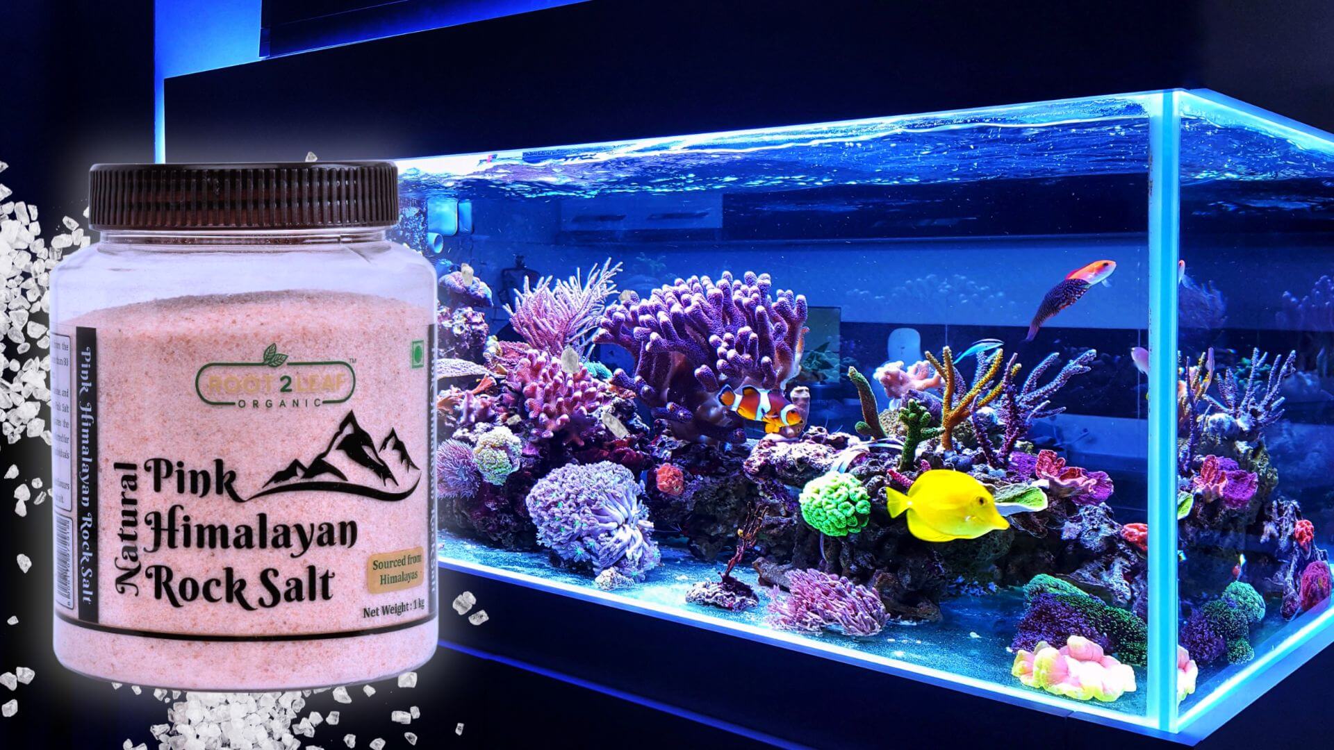 Aquarium salt shop in freshwater tank